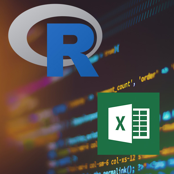 R and Excel Image